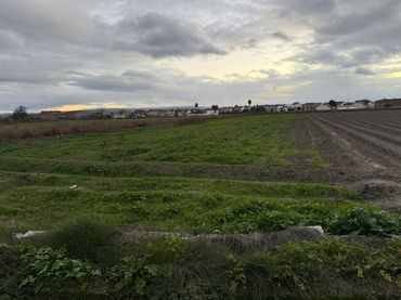 Terreno rustico in vendita a Calle Islas