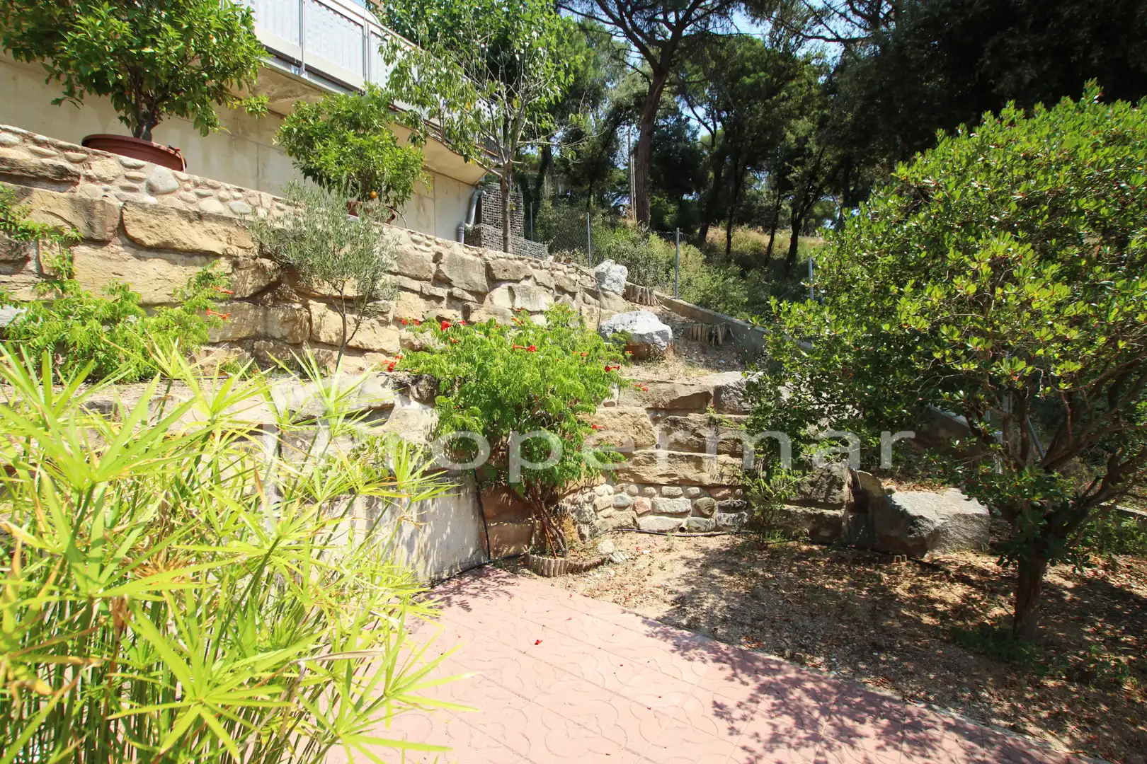 Jardín de Casa o chalet en venta en Sant Pere de Vilamajor con Calefacción, Jardín privado y Piscina