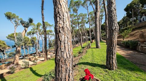 Foto 3 de Casa o chalet en venta en De la Perica, Tamariu, Palafrugell