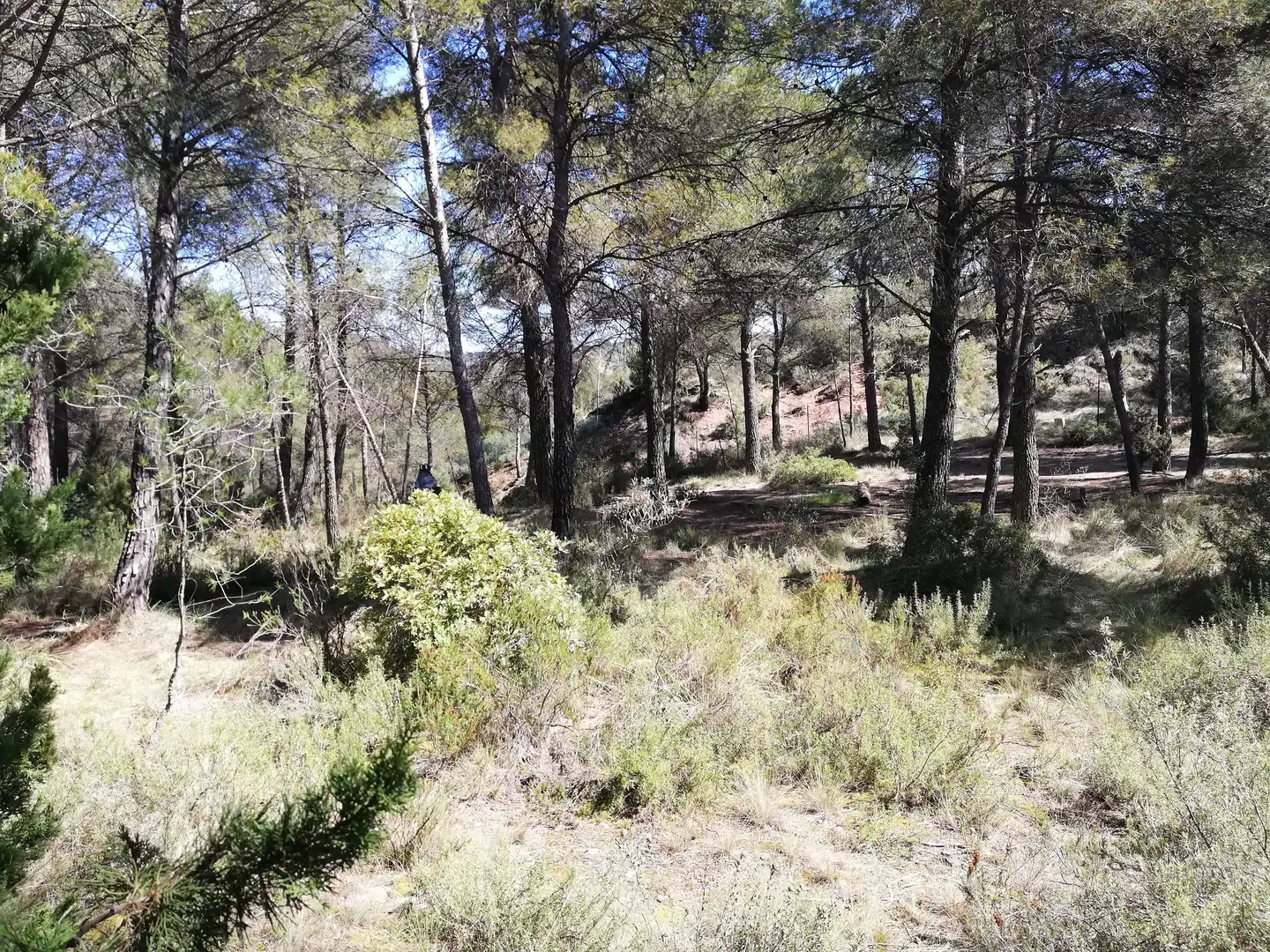 Residencial en venta en La Pobla de Claramunt