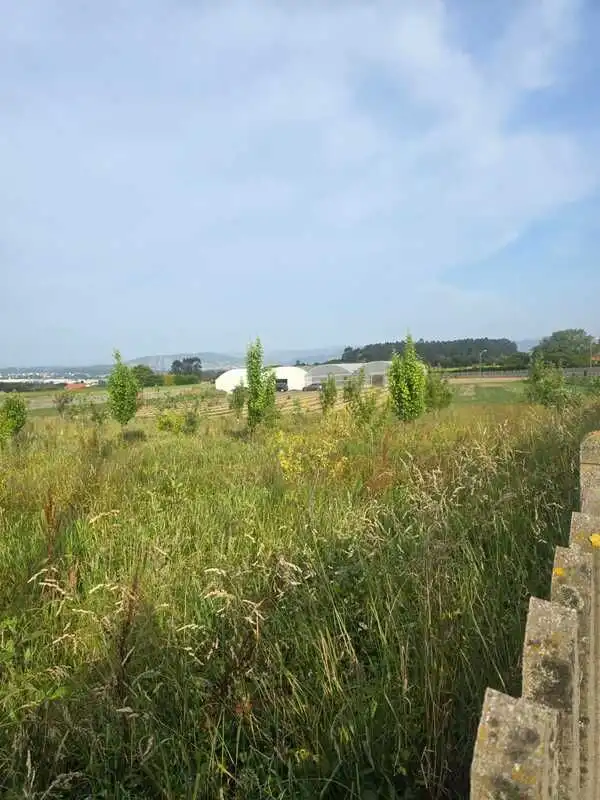 Terrenys i solars en venda a Área Rural, imagen 2