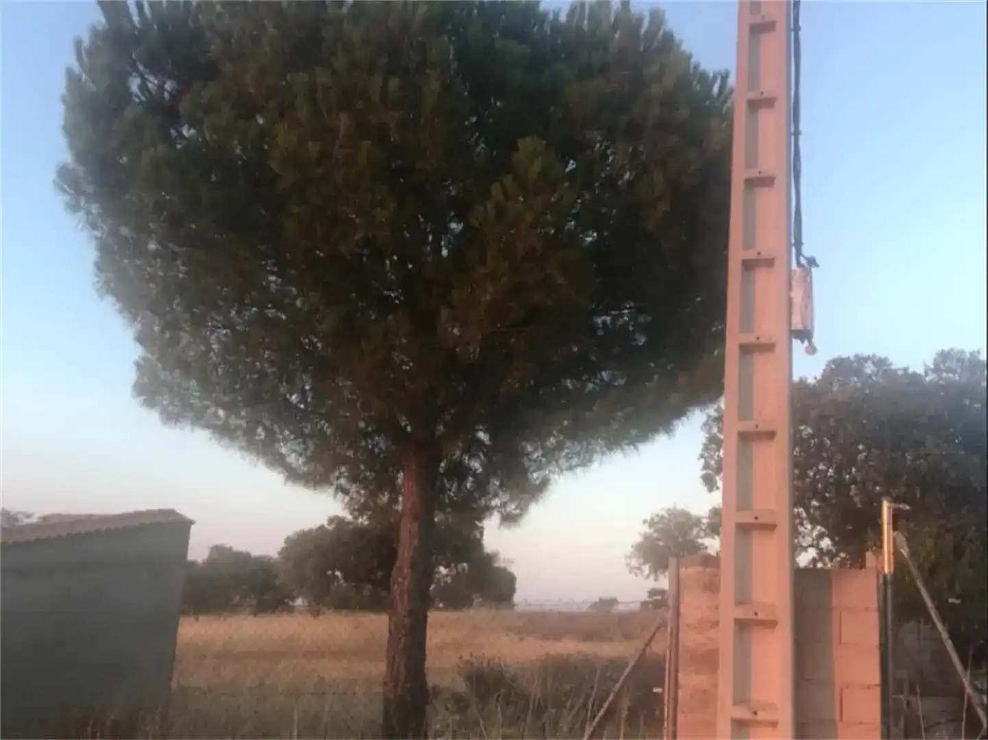 Land for sale in Valverde de Mérida