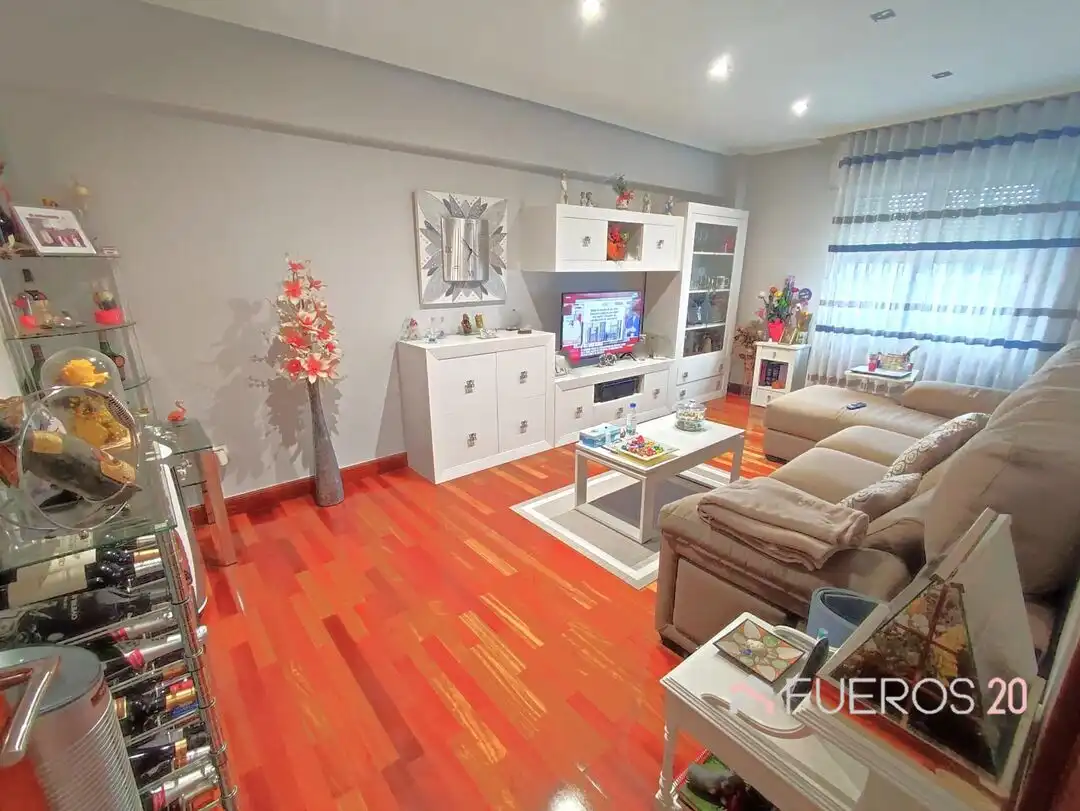 Living room of Flat for sale in Rontegui - Pormetxeta