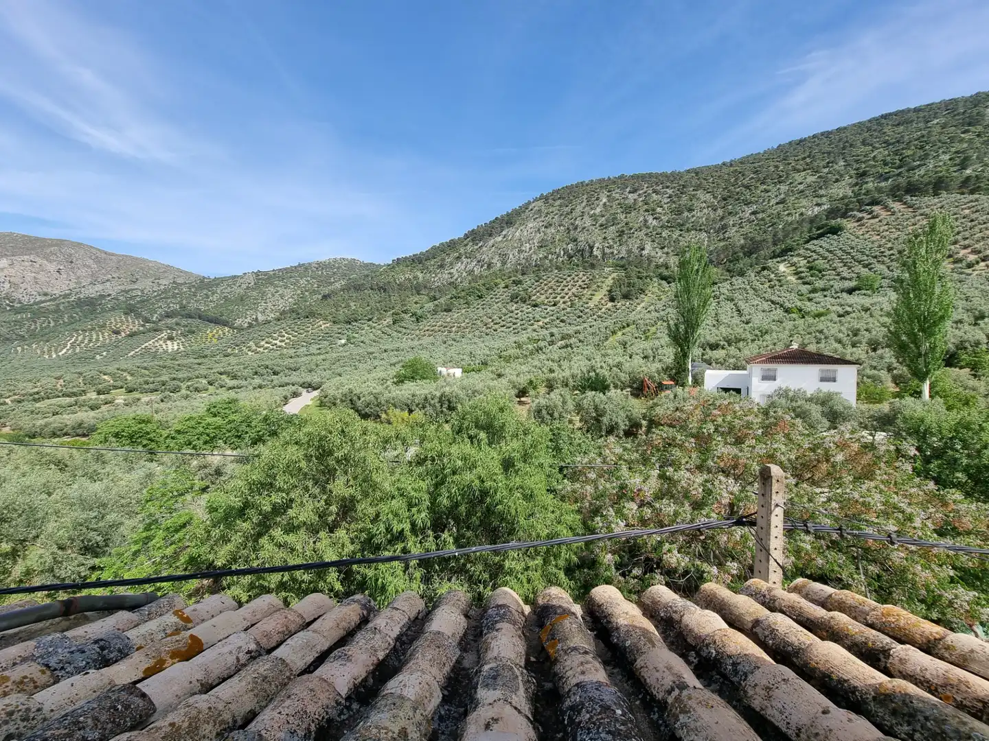 Xalet amb jardí en venda a Rute, imagen 6