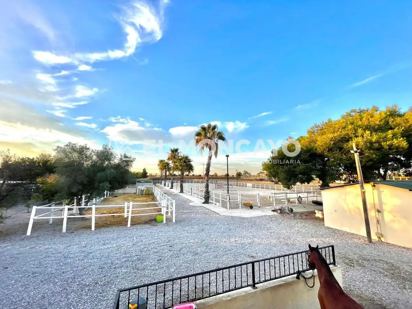 Casa con piscina en venta en Dolores, imagen 7
