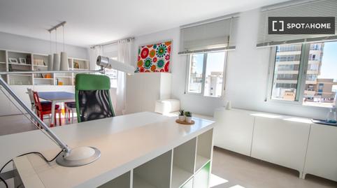 Photo 5 of Study to share in Paseo Marítimo - San José - La Laguna, Cádiz