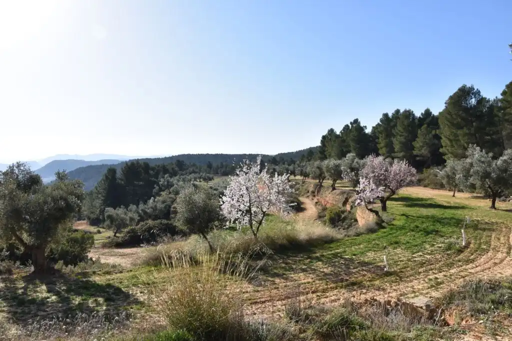 Country homes for sale in La Fresneda