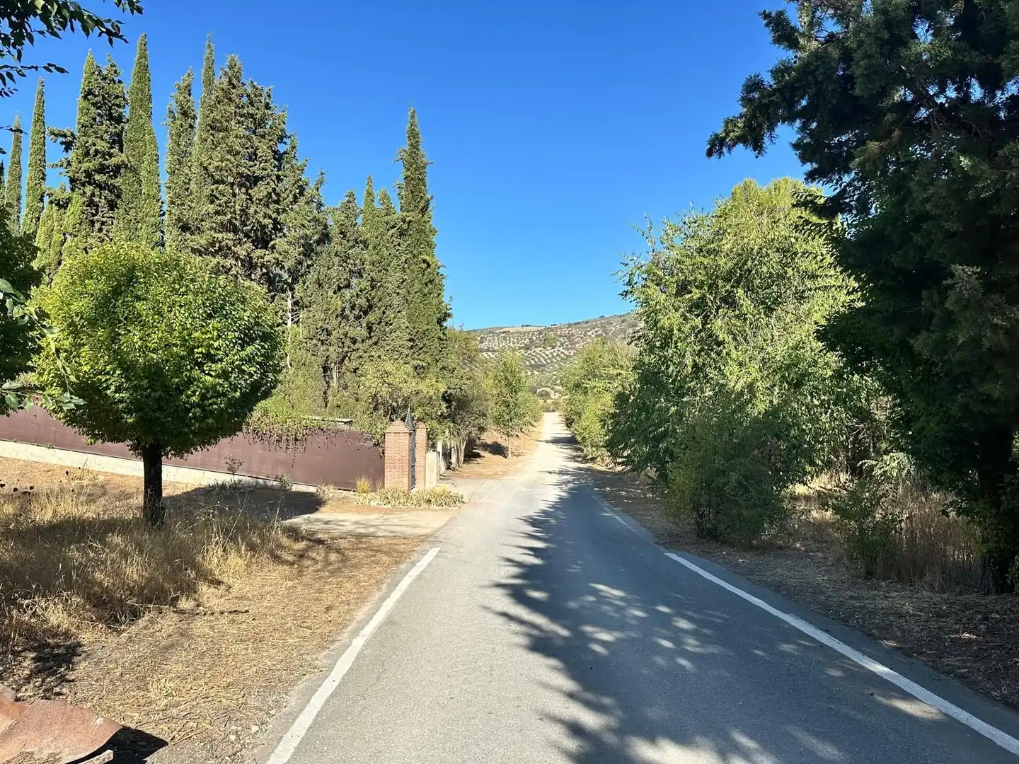 Terreni e lotti in vendita a Íllora, imagen 12