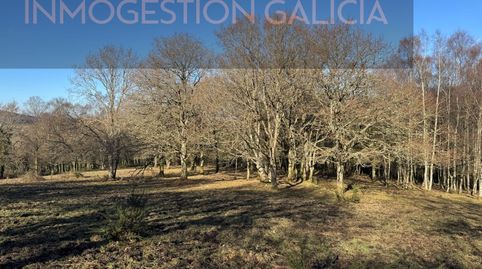 Espectacular finca de 44,5 hectáreas en plena naturaleza  Muras Lugo, immagine 2