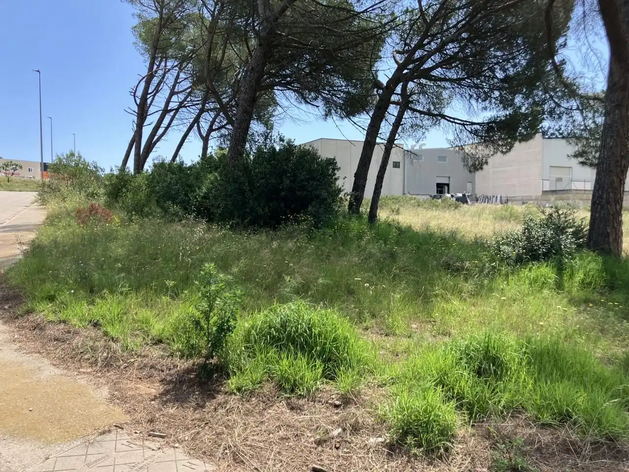 Terreny industrial en venda a Carrer dels Boters, imagen 3