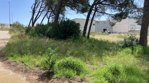 Foto 3 de Terreny industrial en venda a  Carrer Dels Boters, Eixample Residencial, L'Escala