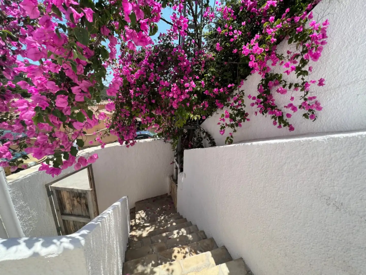 Casa con jardín en venta en Pinar del Advocat - Cometa, imagen 26