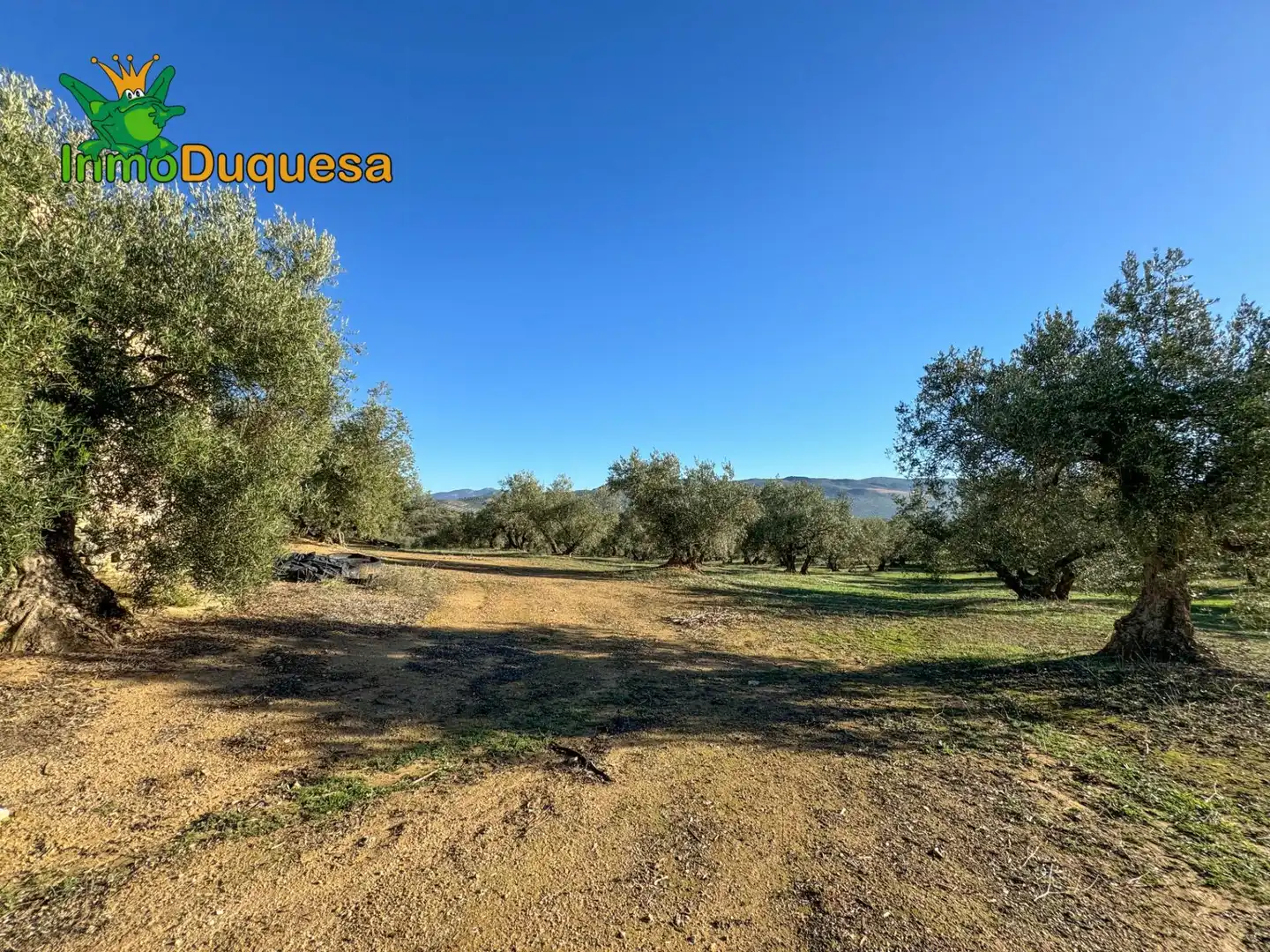 Casa rústica en venda a Camino Polígono 3 Parcela 51 MORA. LOJA (GRANADA) 3, imagen 6