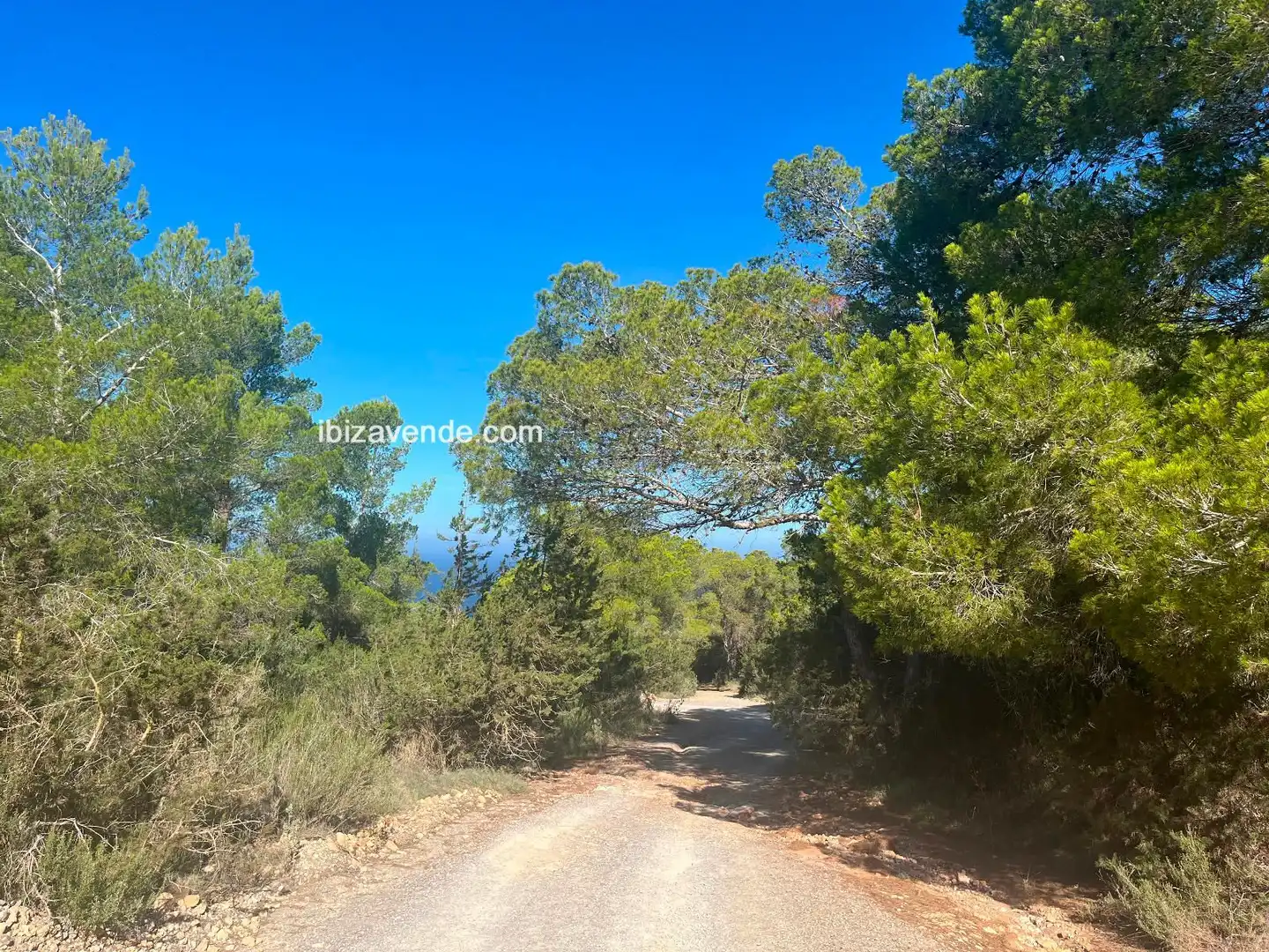 Terreno en venta en de Cala d'Hort, Es Cubells