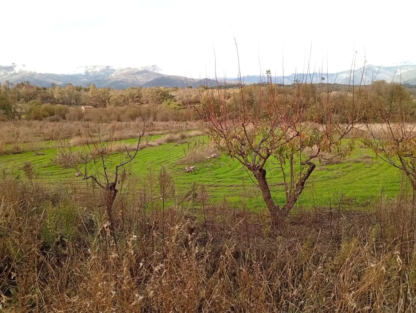 Terreni e lotti in vendita a Villanueva de la Vera, imagen 15