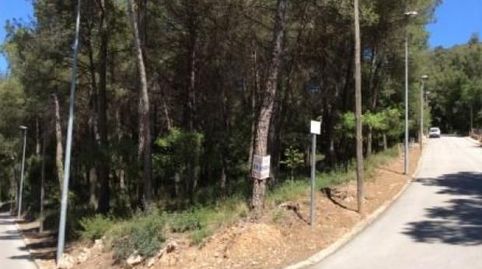 3 PARCELAS DE 1.002 M2 APROX. CADA UNA.
PARCELA ESQUINERA: 60.000€
LAS OTRAS DOS PARCELAS: 48.000€ CADA UNA.
A CONSULTAR PRECIO, immagine 2