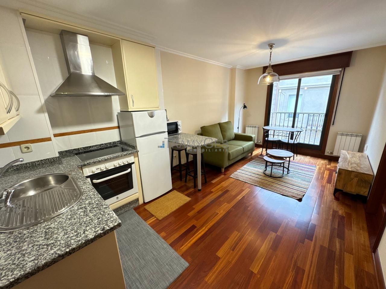 Living room of Apartment to rent in Vigo   with Heating, Parquet flooring and Furnished