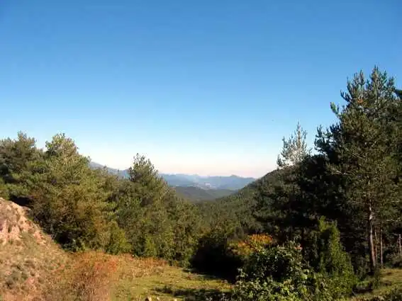 Vista exterior de Finca rústica en venta en Les Llosses