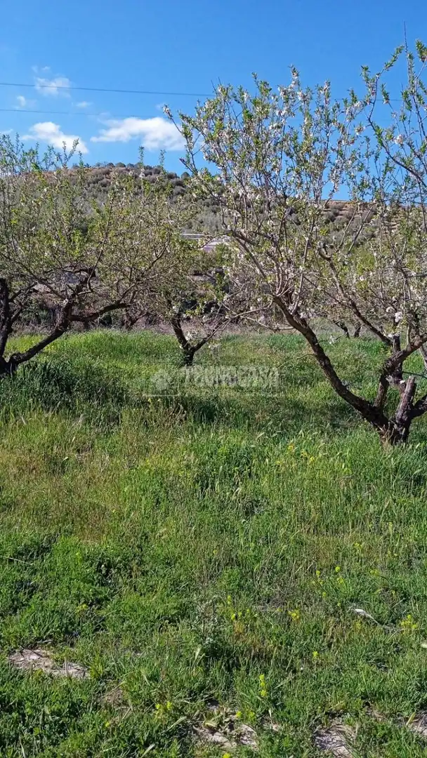 Rustikales Grundstück zum Verkauf in Gójar, imagen 9