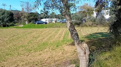 Foto 3 de Terreno en venta en Sant Joan - Vilarromà, Palamós