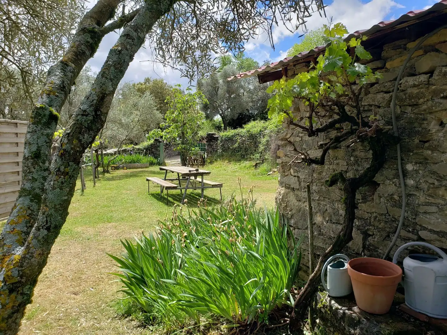 Garden of Houses for sale in Bierge  with Heating, Private garden and Storage room