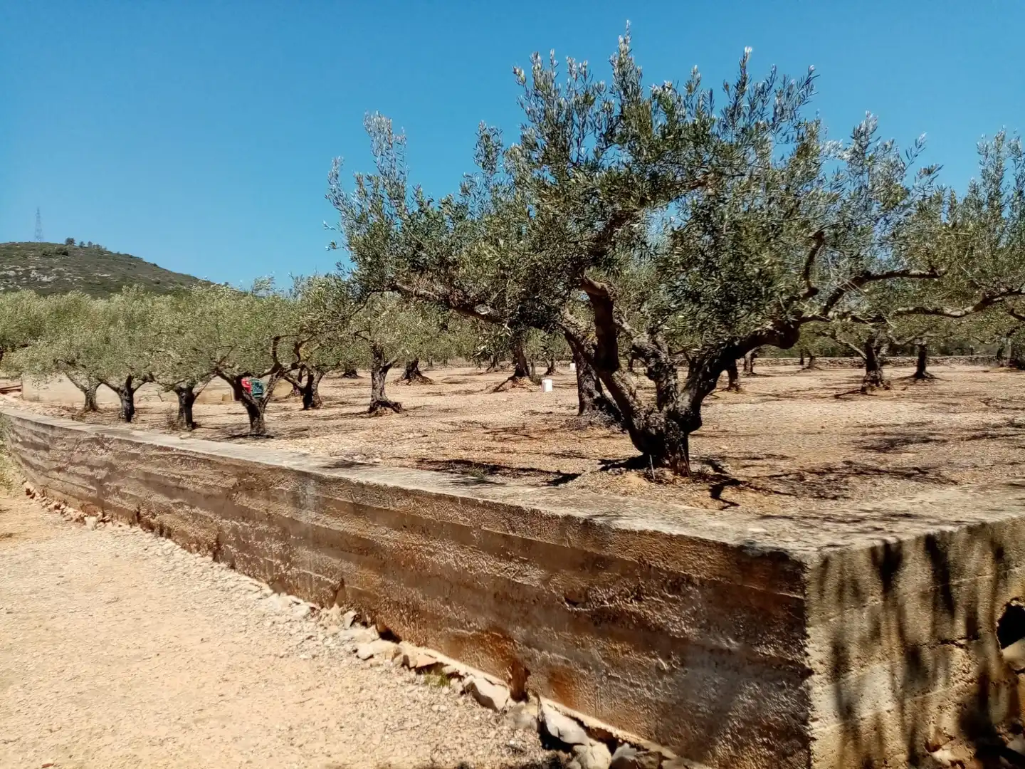 Rustikales Grundstück zum Verkauf in Vial Camino, imagen 3