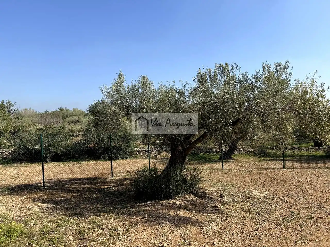 Terreny rústic en venda a Bassa del pi, imagen 25