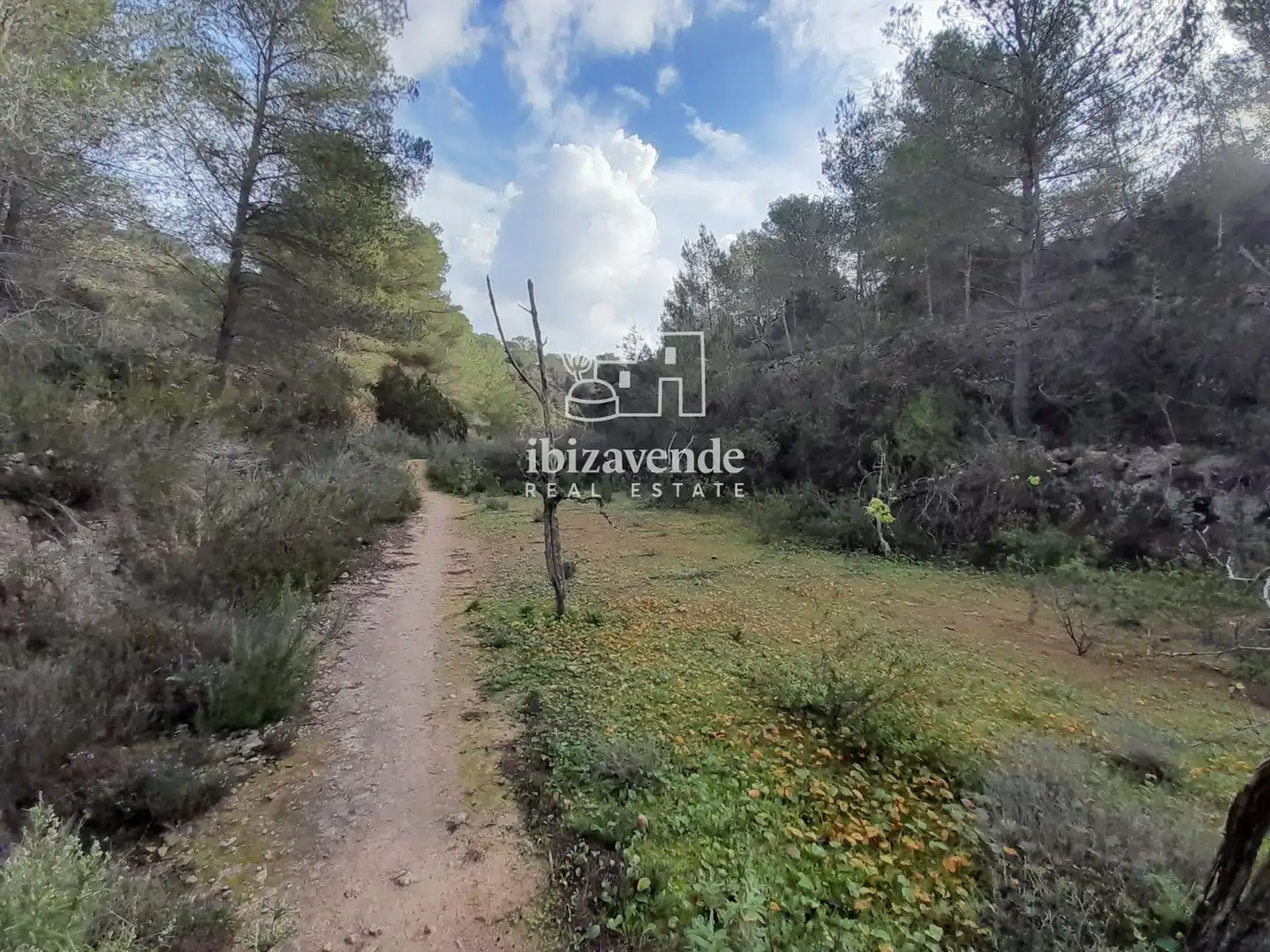 Terreny rústic en venda a de cala tarida, imagen 17