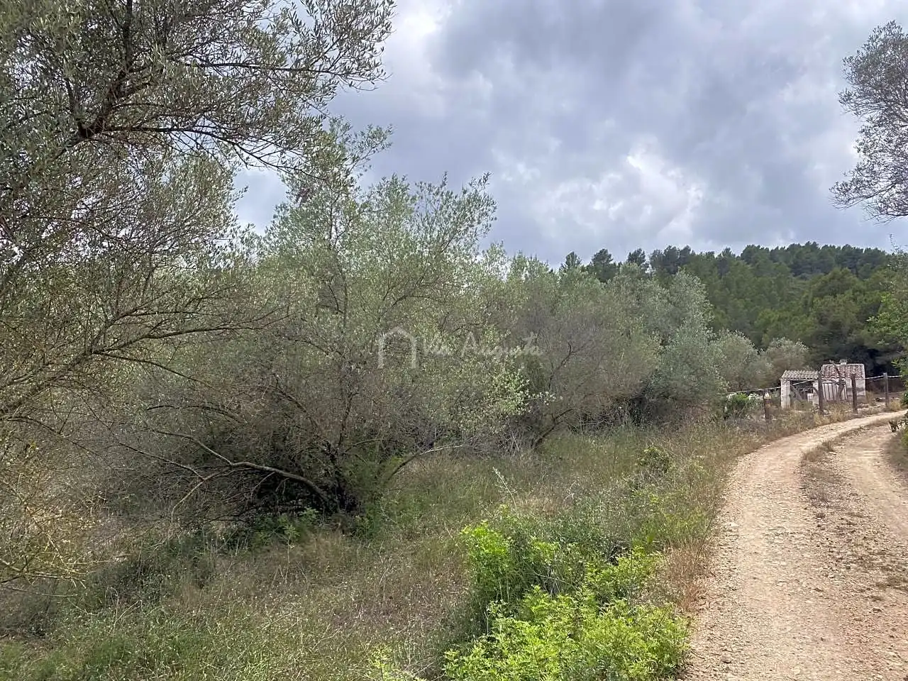 Terreno rustico in vendita a Malladetes, imagen 19