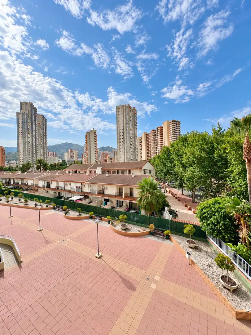 Vista exterior de Apartament en venda en Benidorm amb Aire condicionat, Terrassa i Moblat