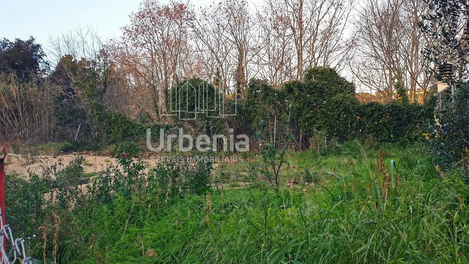 Terreno rústico en venta en Sant Iscle de Vallalta, imagen 3