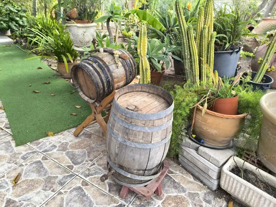 Jardí de Casa o xalet en venda en Orihuela amb Aire condicionat, Calefacció i Jardí privat