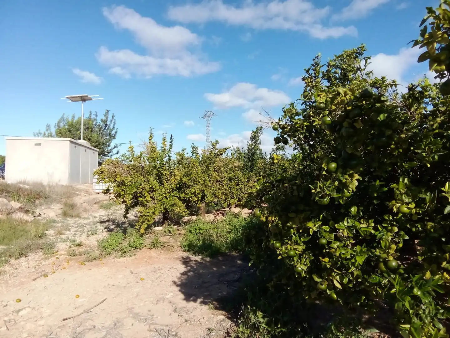 Terreno rústico en venta en Montserrat, imagen 5