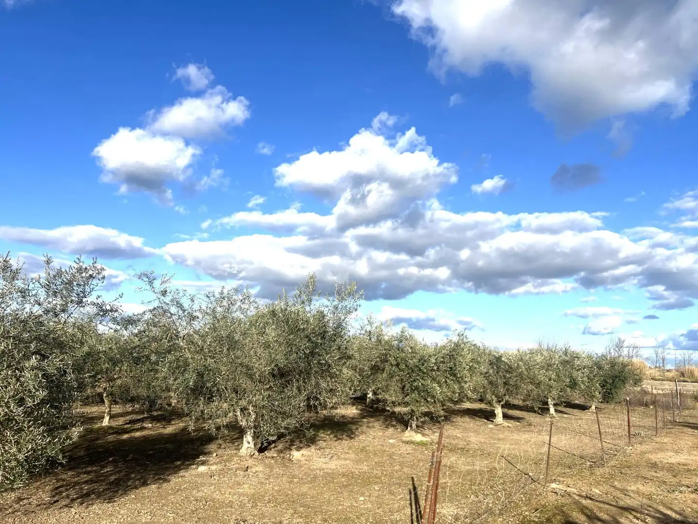 Terreni e lotti in vendita a Don Benito