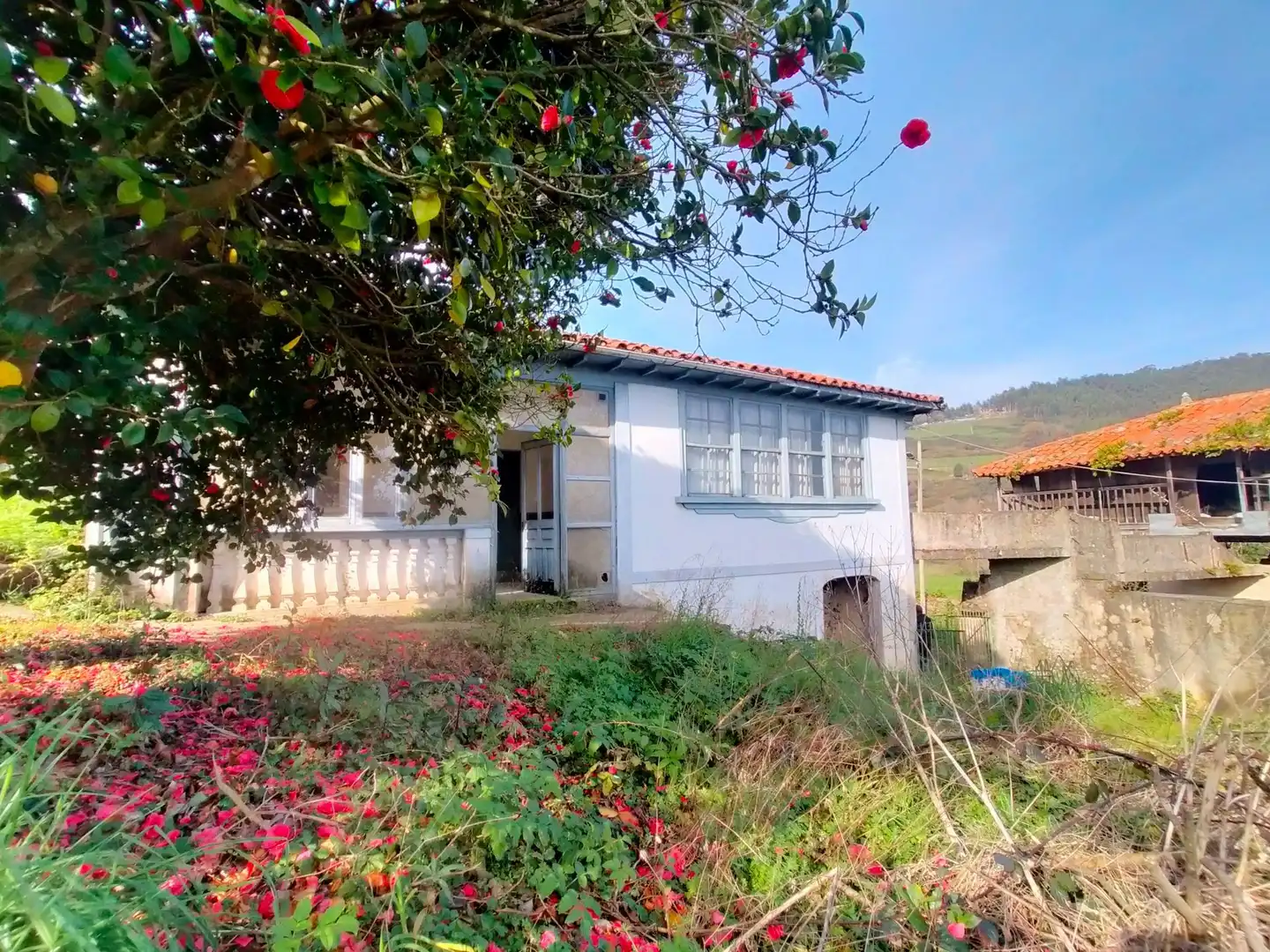 Vista exterior de Finca rústica en venta en Cudillero con Jardín privado
