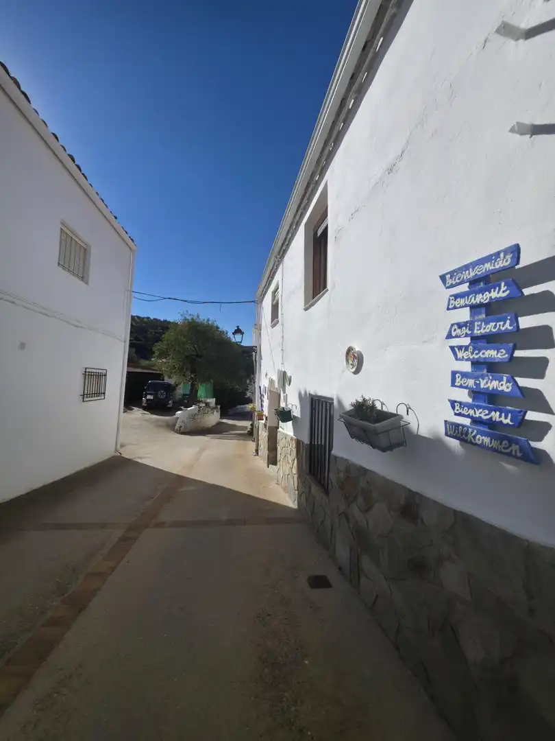 Xalet amb piscina en venda a Calle NARANJOS, imagen 24