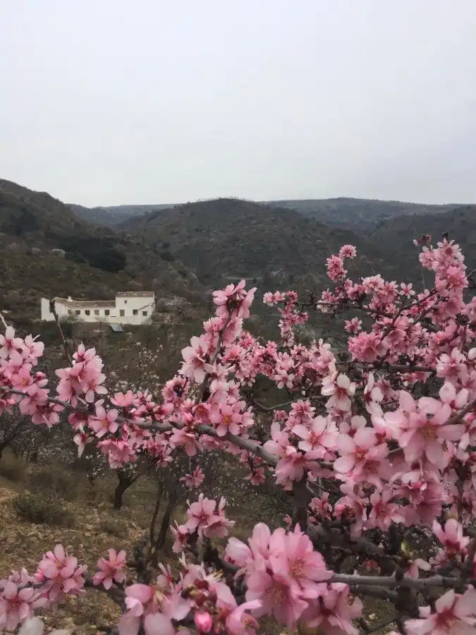 Jardí de Finca rústica en venda en Lecrín amb Aire condicionat i Calefacció