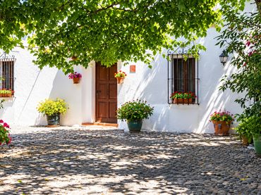 Casa rústica con jardín en venta en Centro
