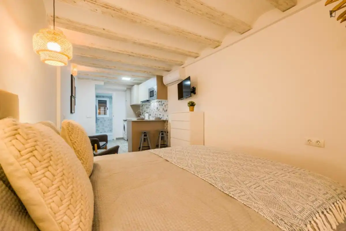 Studio à louer à Ciutat Vella, imagen 5