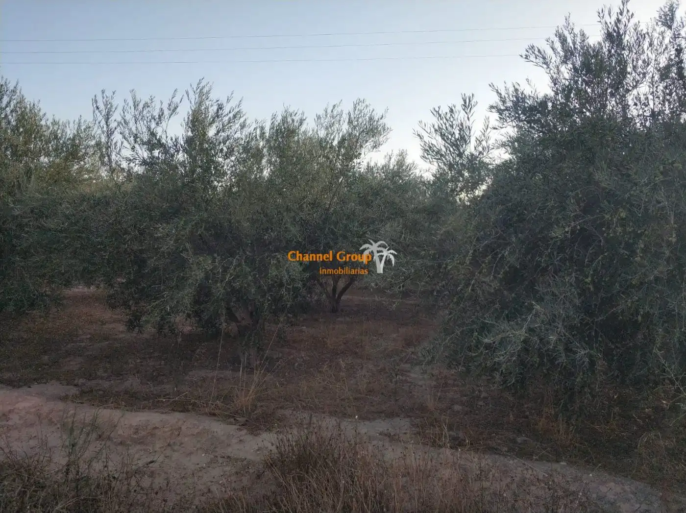 Finca rústica en venta en Jubalcoi