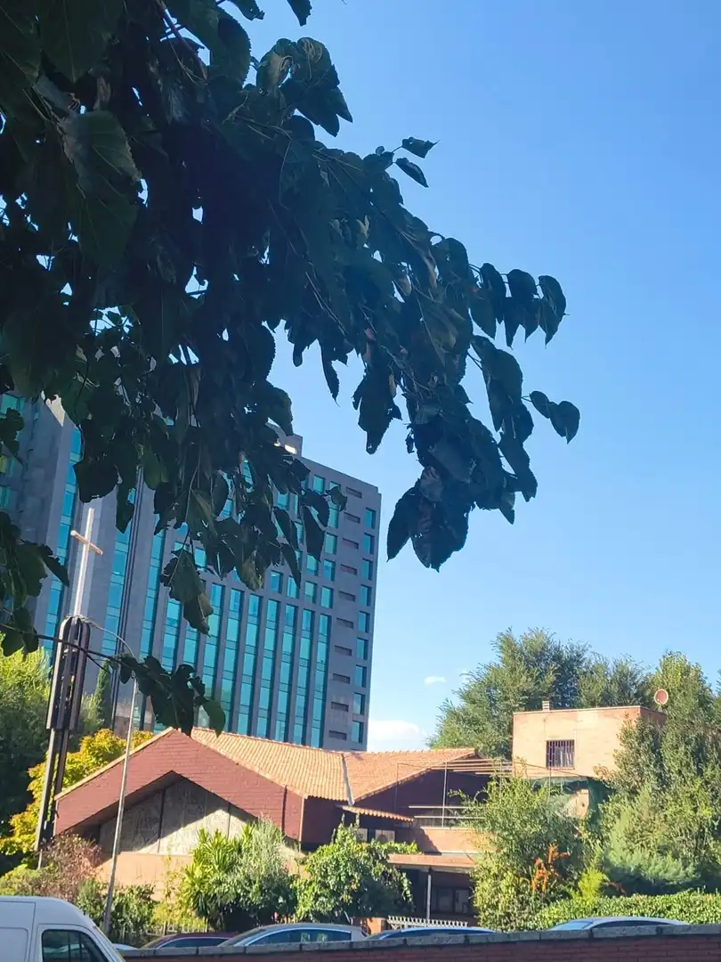 Apartment with lift for sale in Calle Calle Virgen de Lourdes, imagen 28