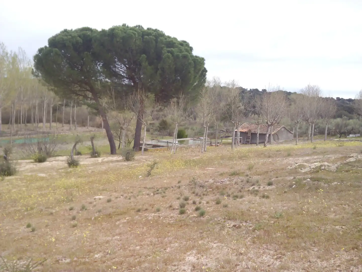 Terreno en venta en Aldea del Fresno