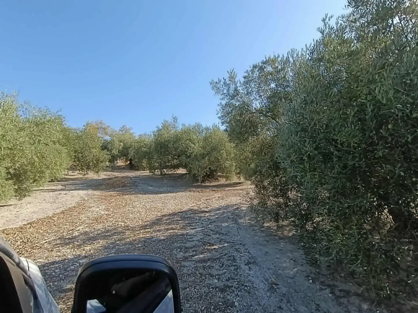 Casa rústica amb piscina en venda a Iznájar, imagen 24