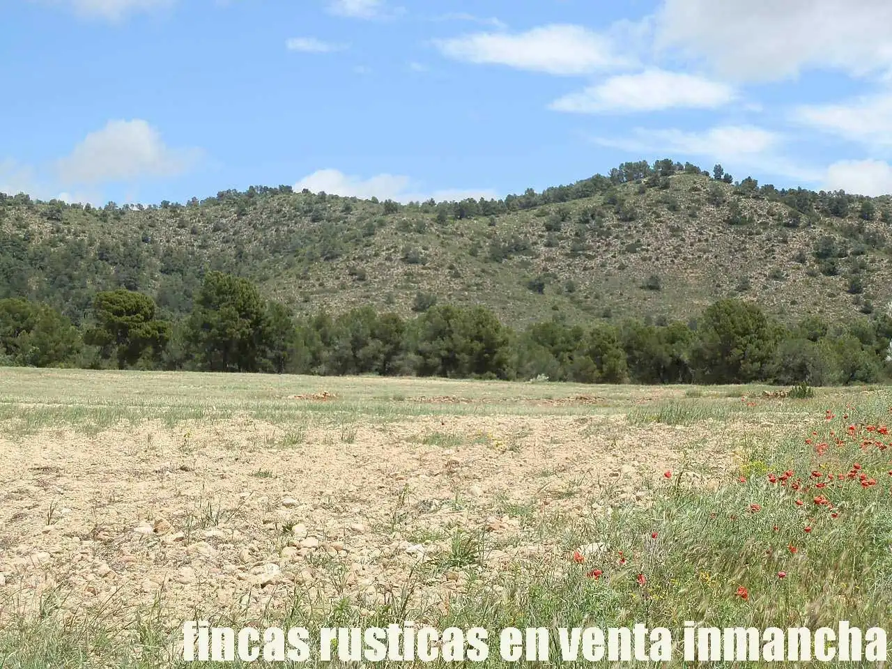Terreni e lotti in vendita a Elche de la Sierra, imagen 25