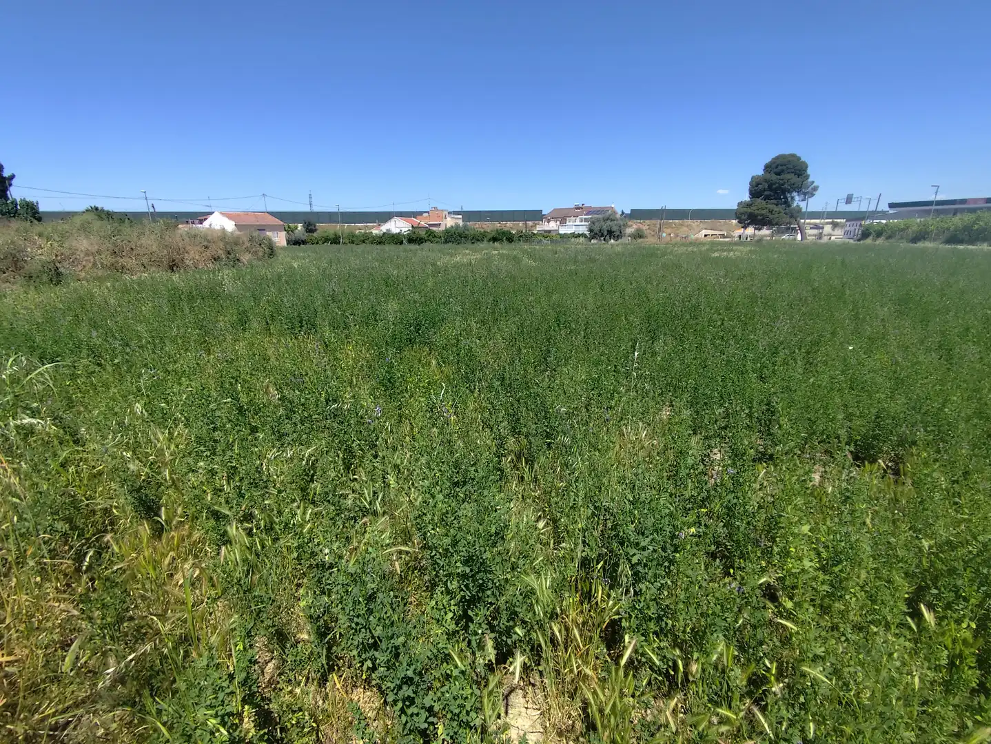 Residencial en venda en Murcia