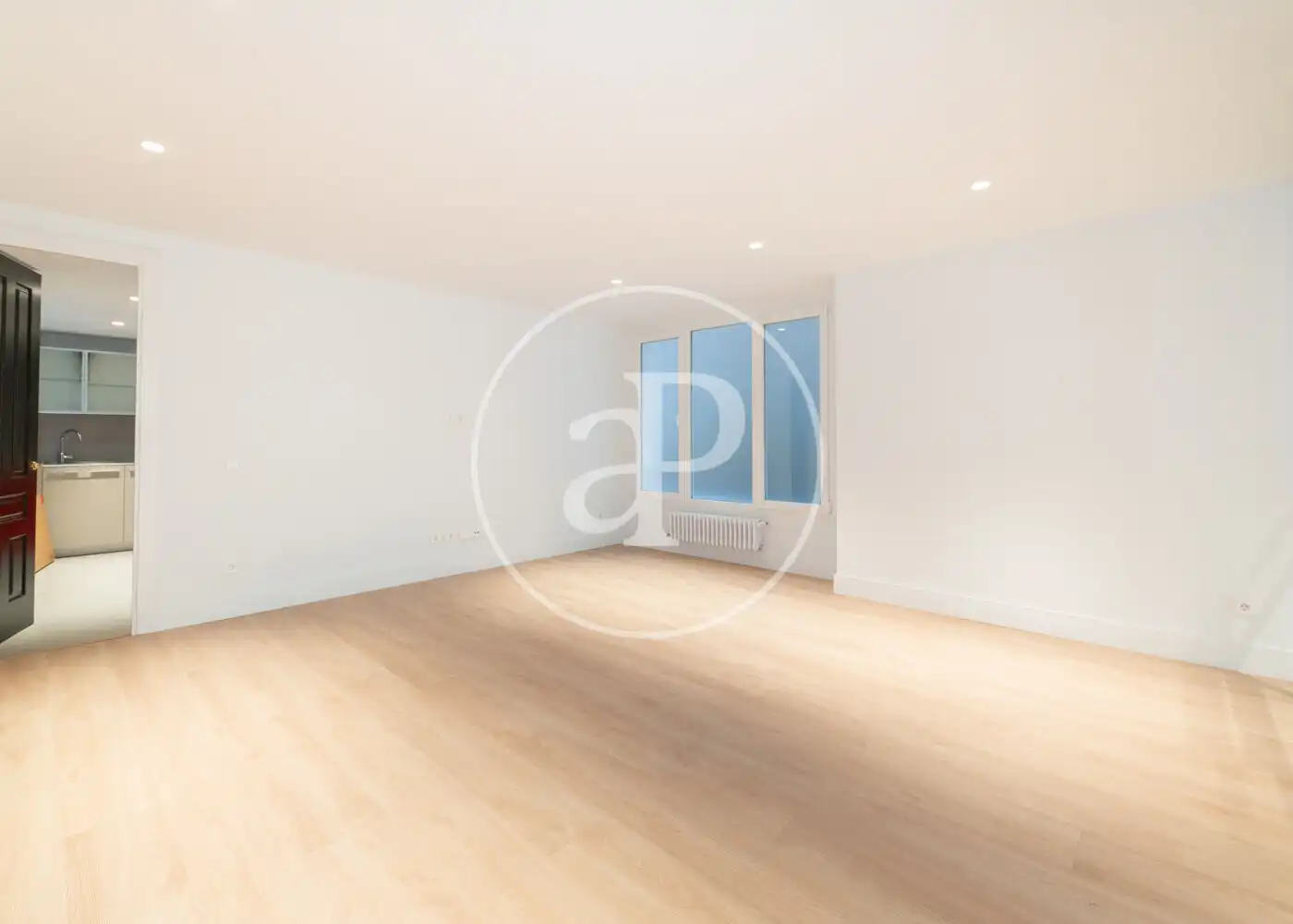 Sala d'estar de Pis de lloguer en Madrid amb Aire condicionat i Calefacció