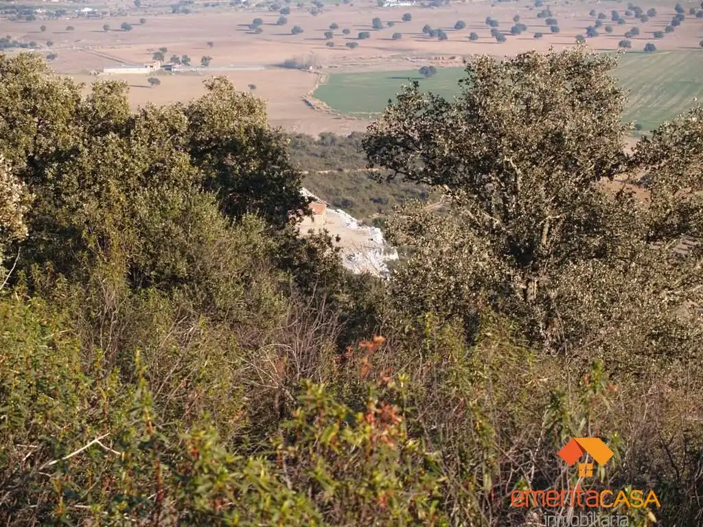 Terreni e lotti in vendita a Quintana de la Serena, imagen 4