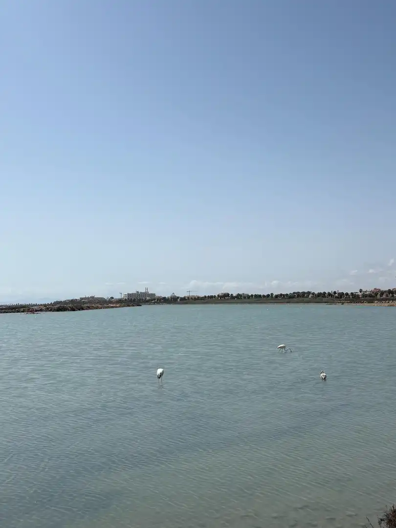 Duplex con terrazza in vendita a Los Peñascos - El Salero - Los Imbernones, imagen 37