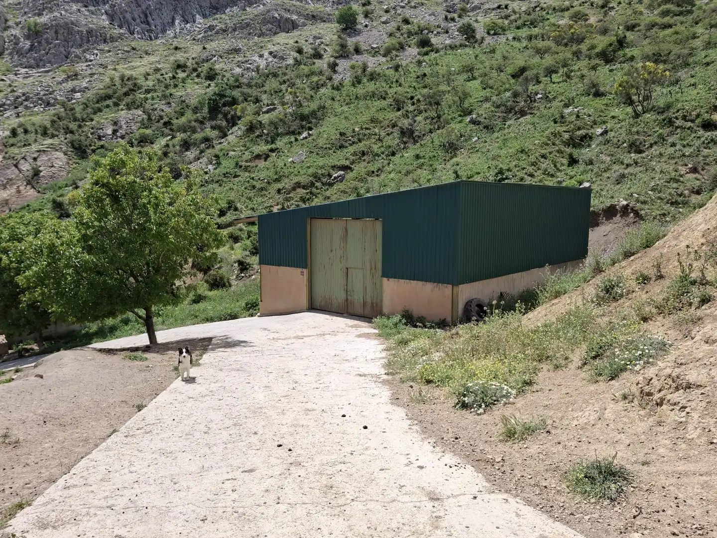Terreni e lotti in vendita a Alfarnatejo, imagen 9