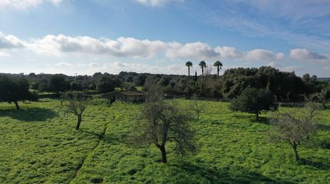 Descubre el terreno rústico ideal entre Cas Concos y Santanyí!, imatge 5